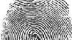 Use Of Fingerprint Evidence