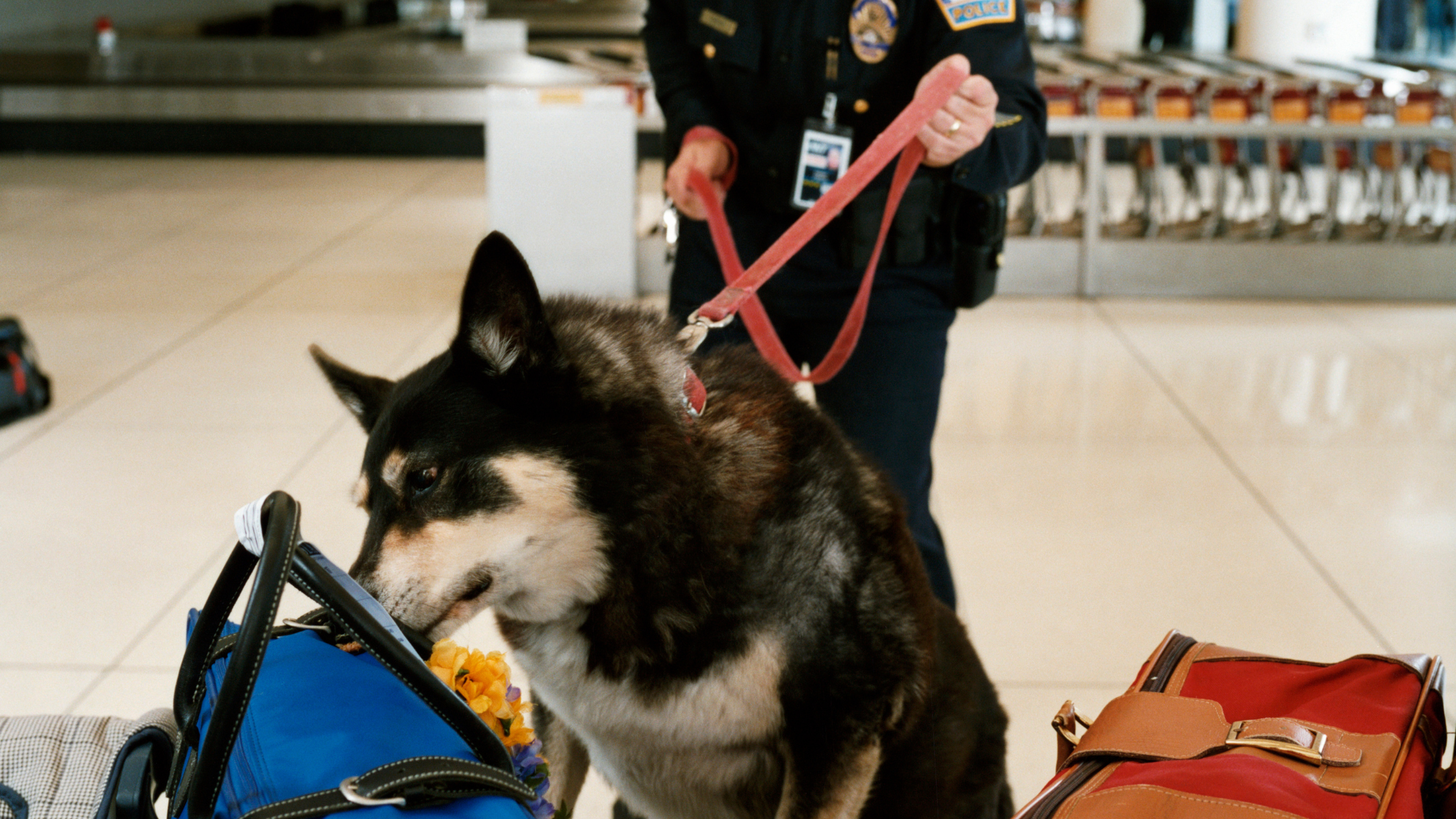 Charged with a drug offence